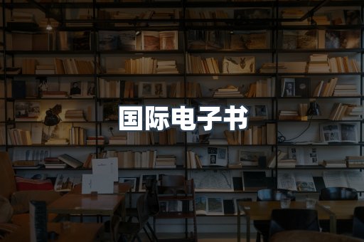 国际电子书