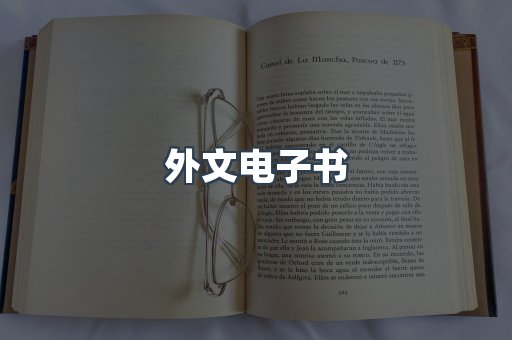 外文电子书